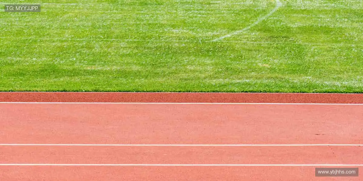 实时解说，身临其境！🎧📸